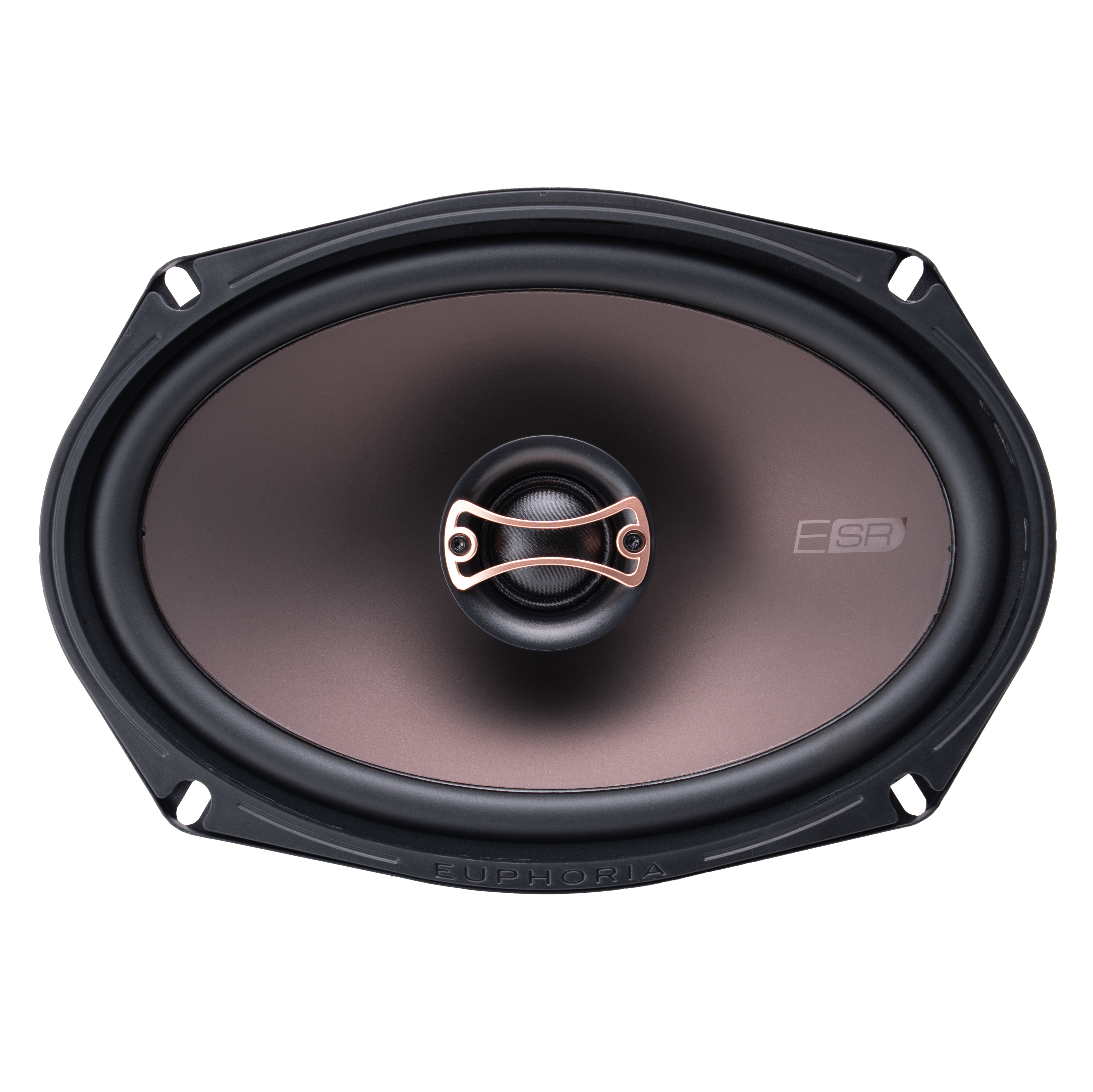 ESR69 : Reference 6