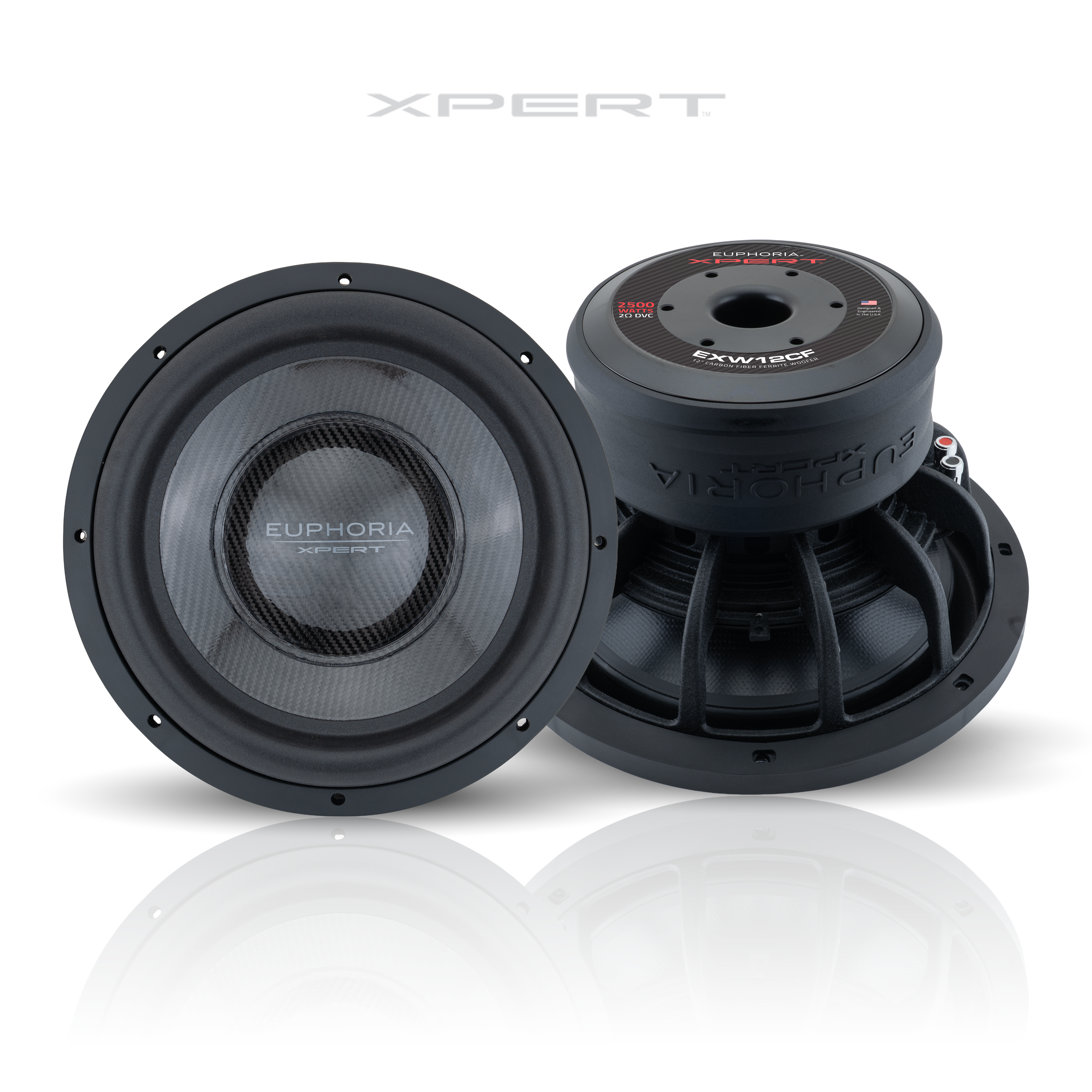 Eve Culture 12T Mサイズ EXW12CF : 12 in. Dual 2-Ohm Carbon Fiber Subwoofer With Ferrite