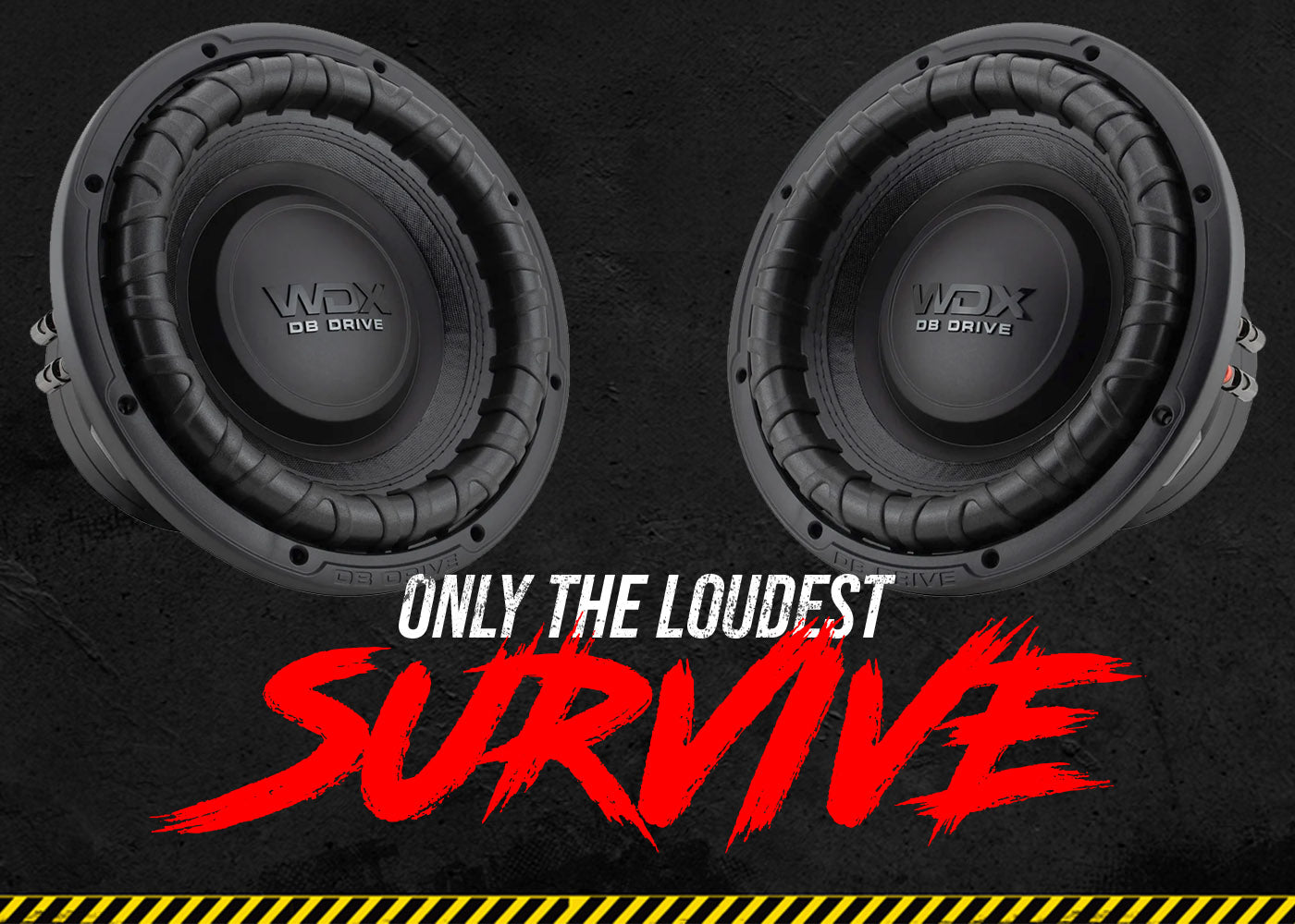 WDX12G3R.4 : 12 in. Dual 4-Ohm Subwoofer – DB Drive