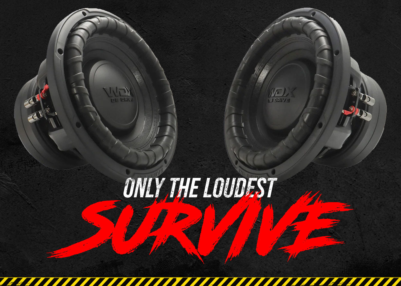 WDX18G5R.2 : 18 in. Dual 2-Ohm Subwoofer – DB Drive