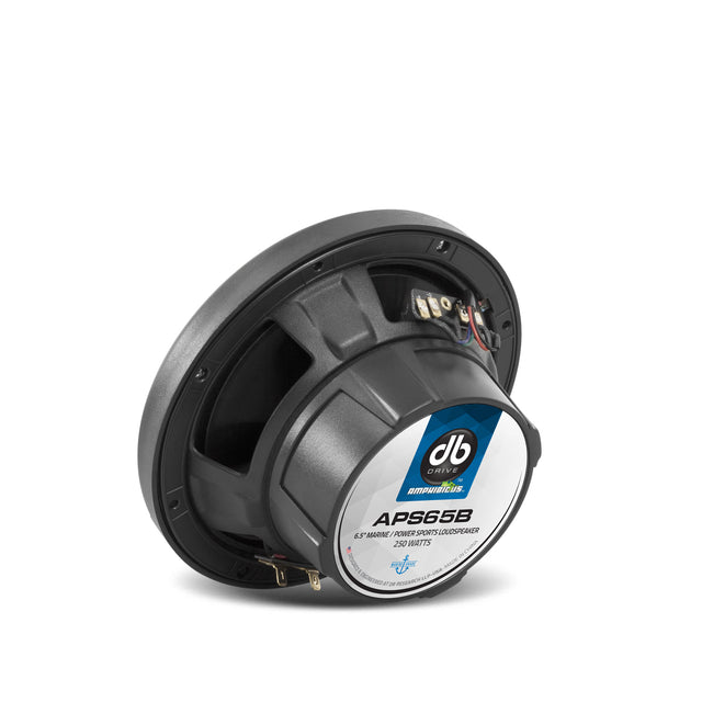 APS65B : 6.5