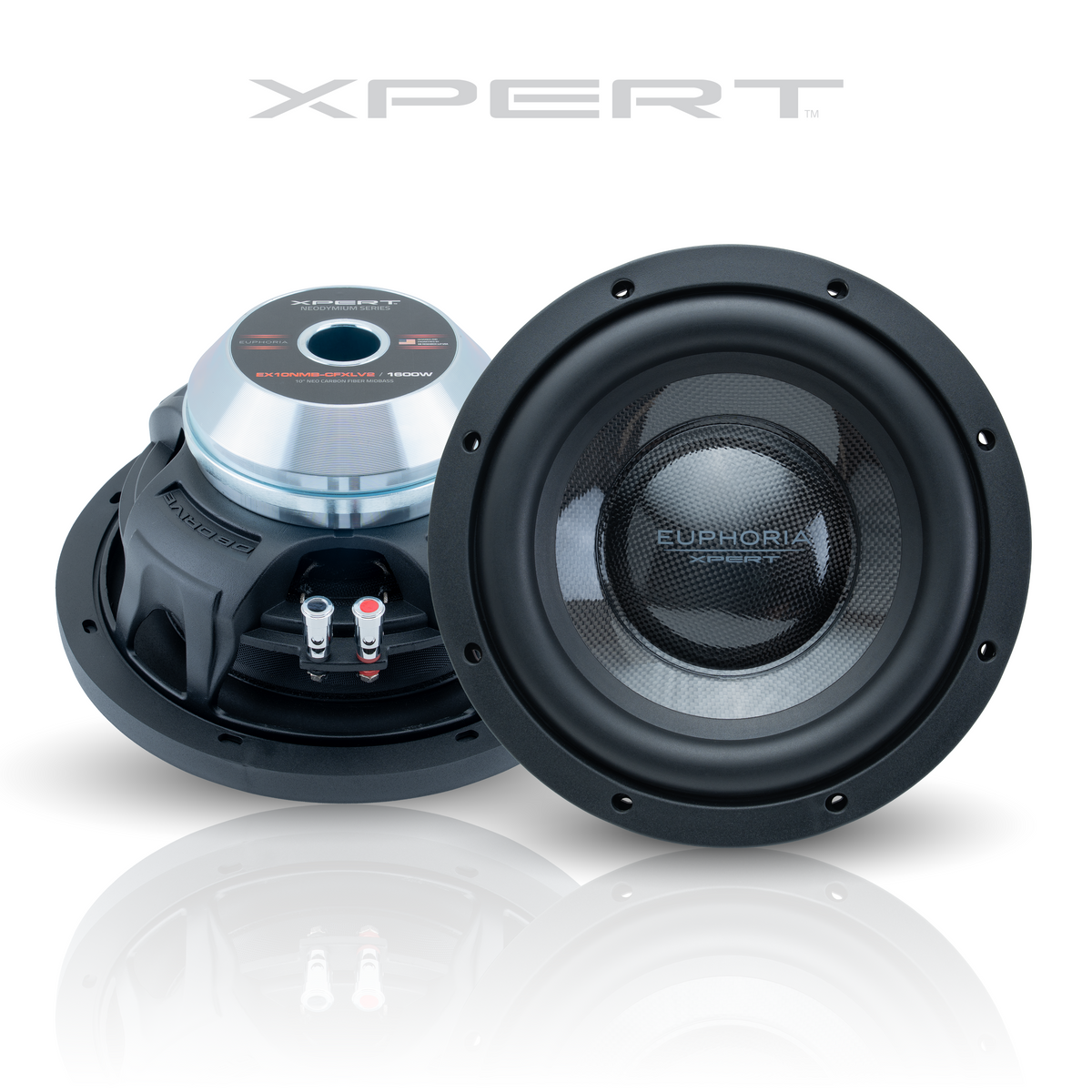 EX10NMB-CFXLV2 : Limited Edition Carbon Fiber 10 in. Midbass – DB