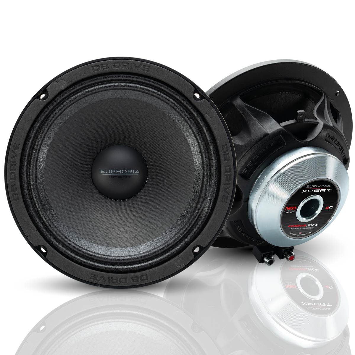 AudioNirvana　Super-8　ネオジム　ラジアタパイン集成材　スリットバスレフ AudioNirvana Super-8 ネオジム ラジアタパイン集成材 スリットバスレフ