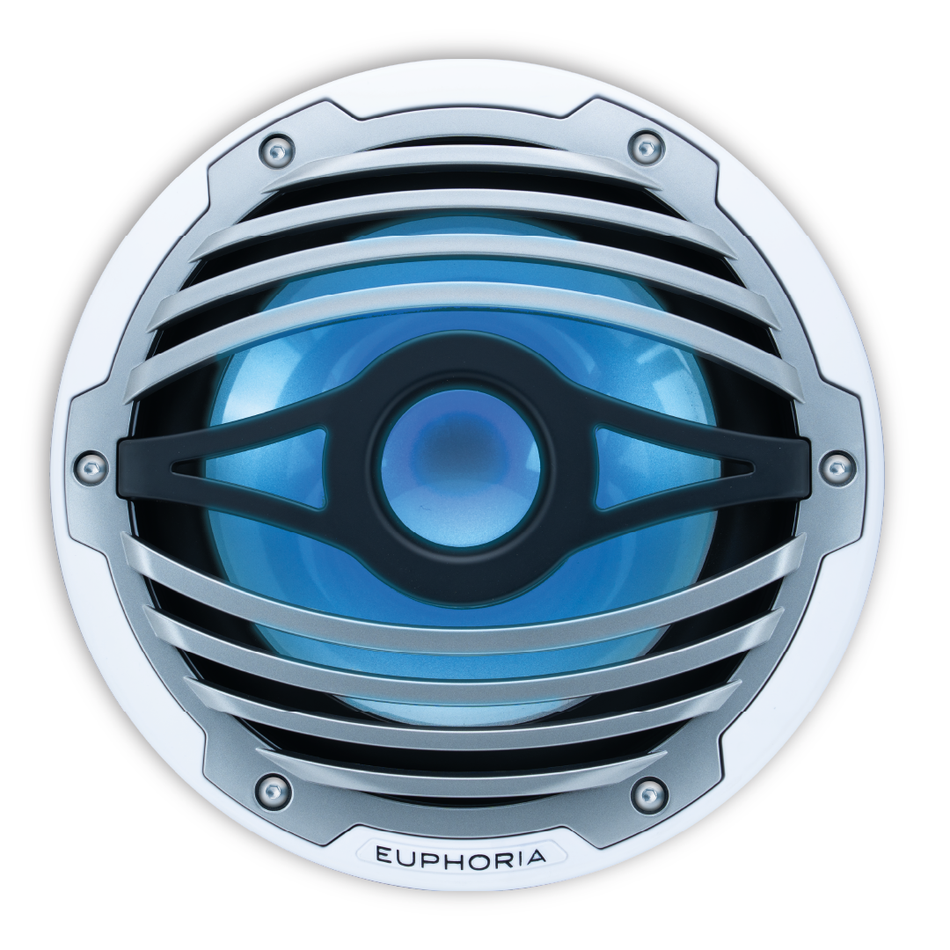 ERMW10 : 10” Reference Marine Subwoofer with RGB accent lighting