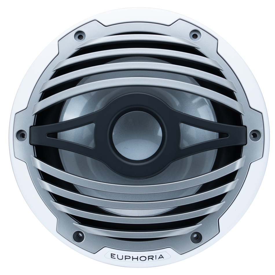 ERMW10.2 : 10” Reference Marine Subwoofer with RGB accent lighting (2-OHM)