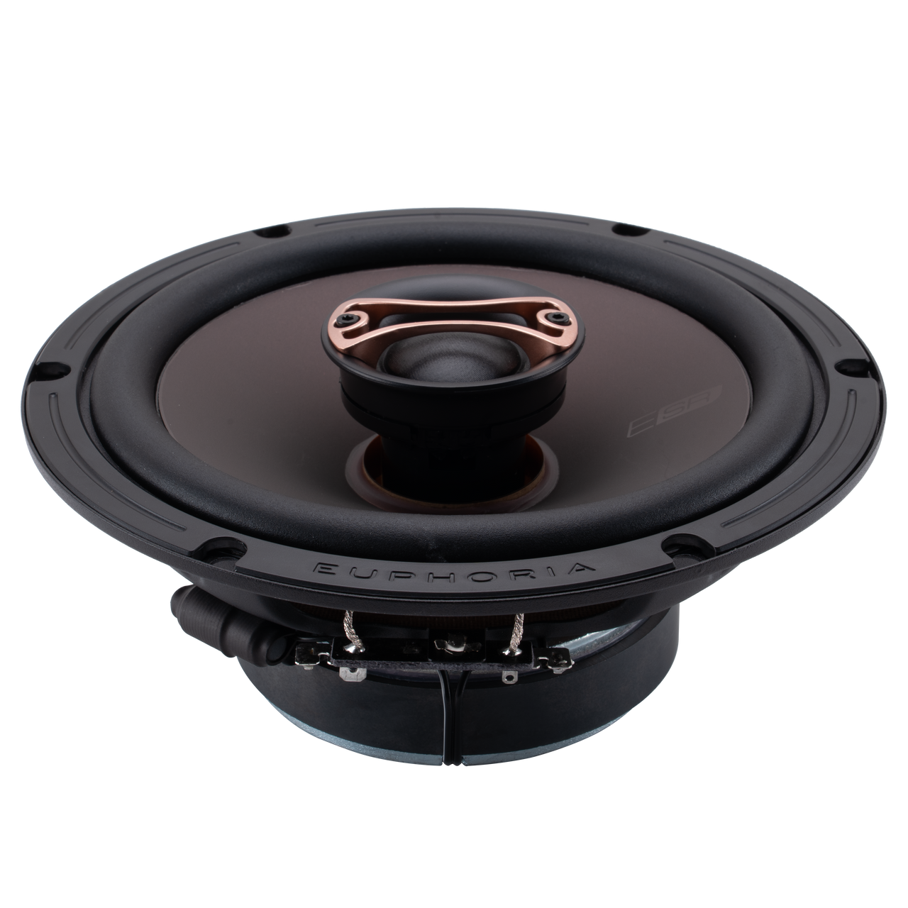 ESR65 : Reference 6.5