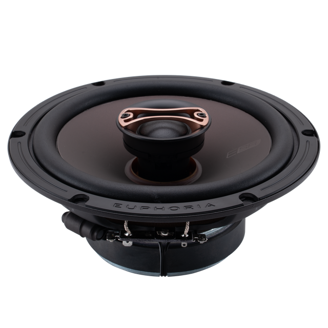 ESR65 : Reference 6.5