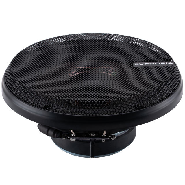 ESR65 : Reference 6.5