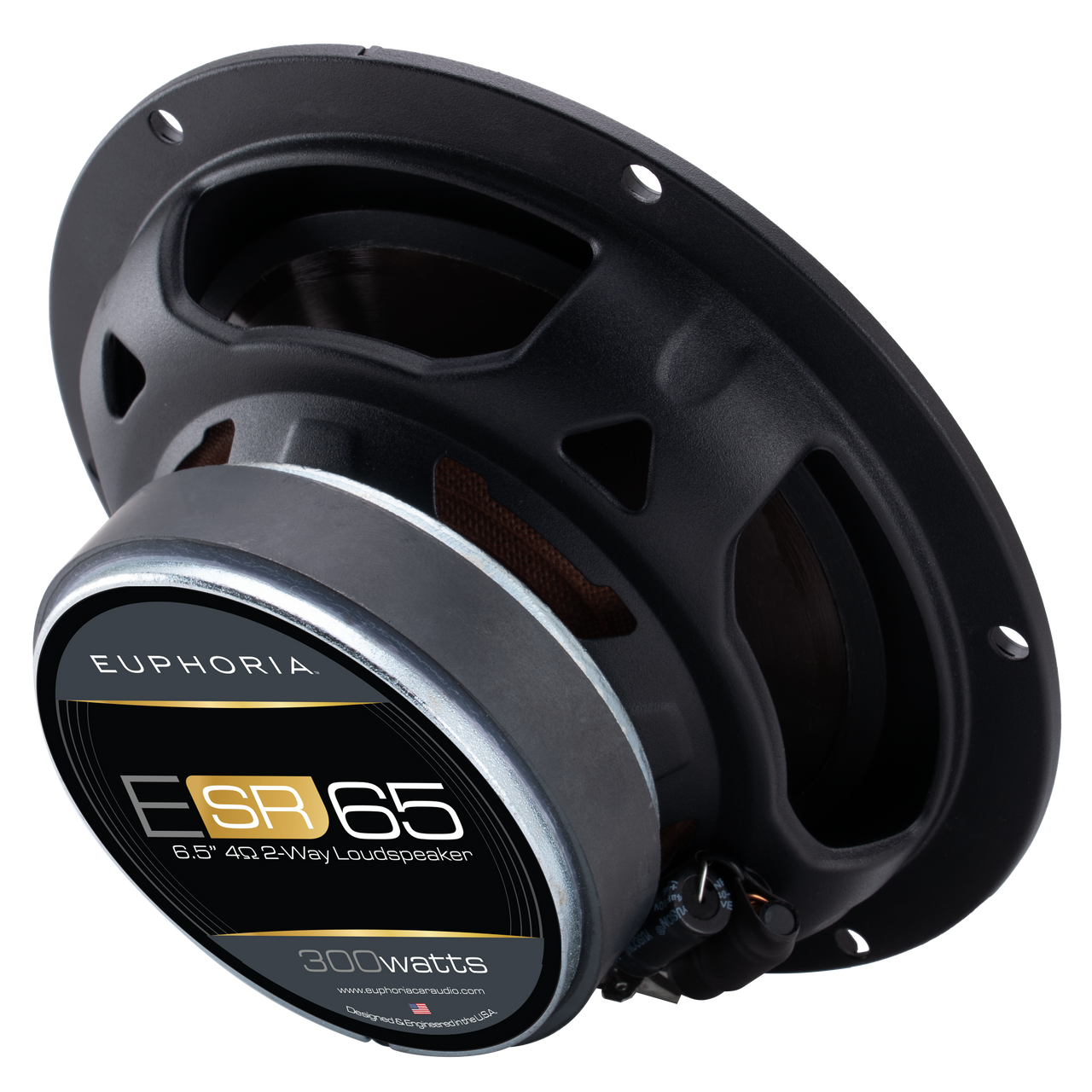 ESR65 : Reference 6.5