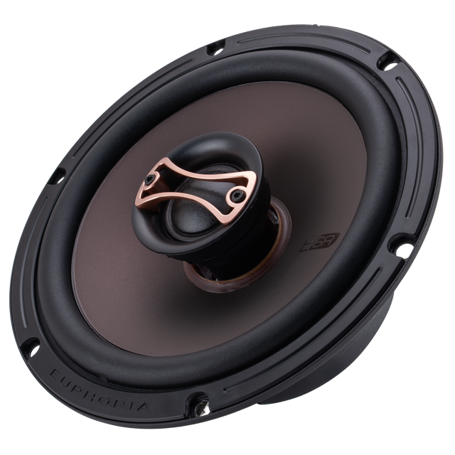 ESR65 : Reference 6.5