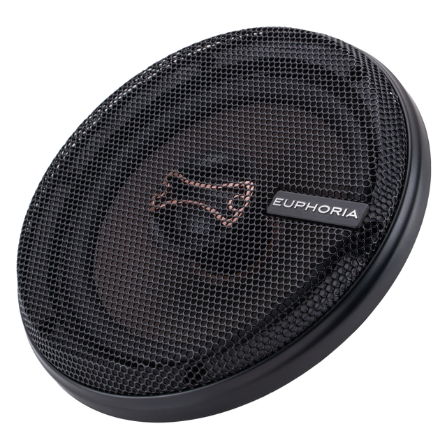 ESR65 : Reference 6.5