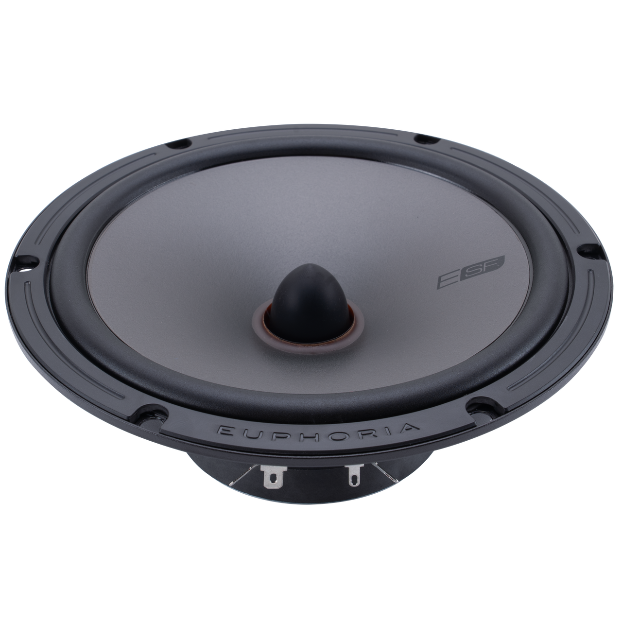ESF65C : Premium Upgrade 6.5