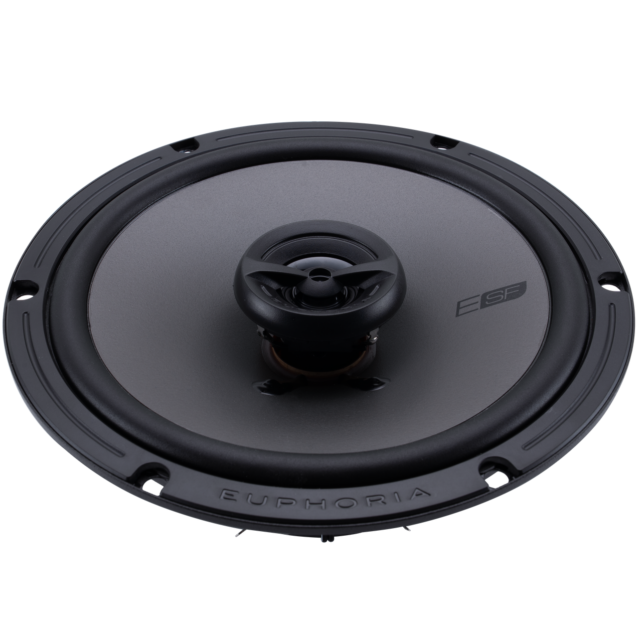 ESF65 : Premium Upgrade 6.5