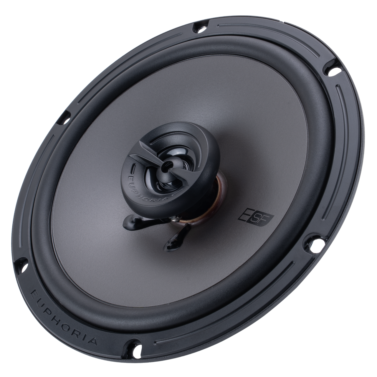 ESF65 : Premium Upgrade 6.5