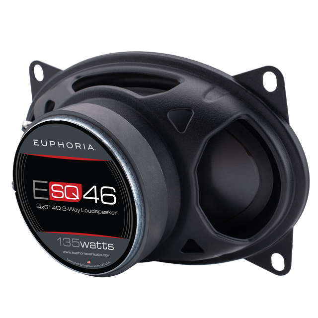 ESQ46 : SQ 4