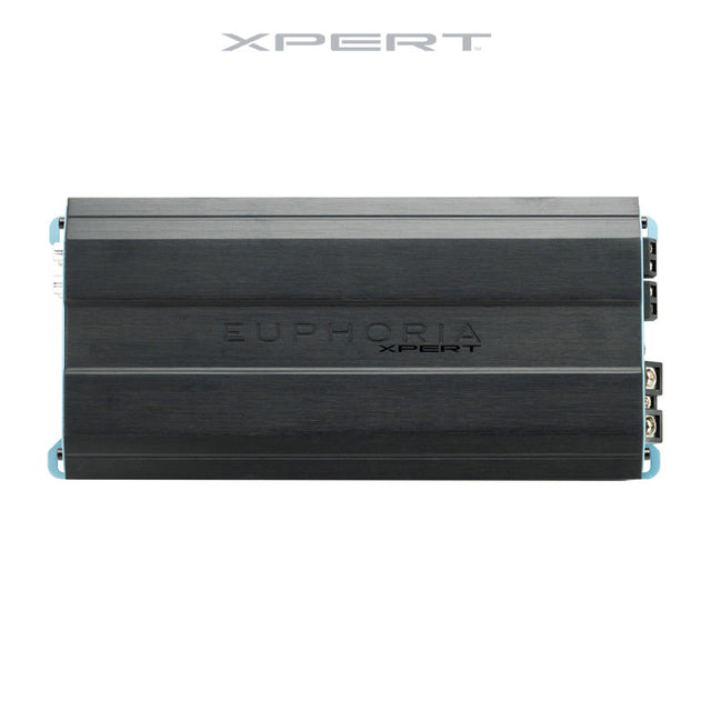 EXM2000.1 : Mono Class D Mini Amplifier