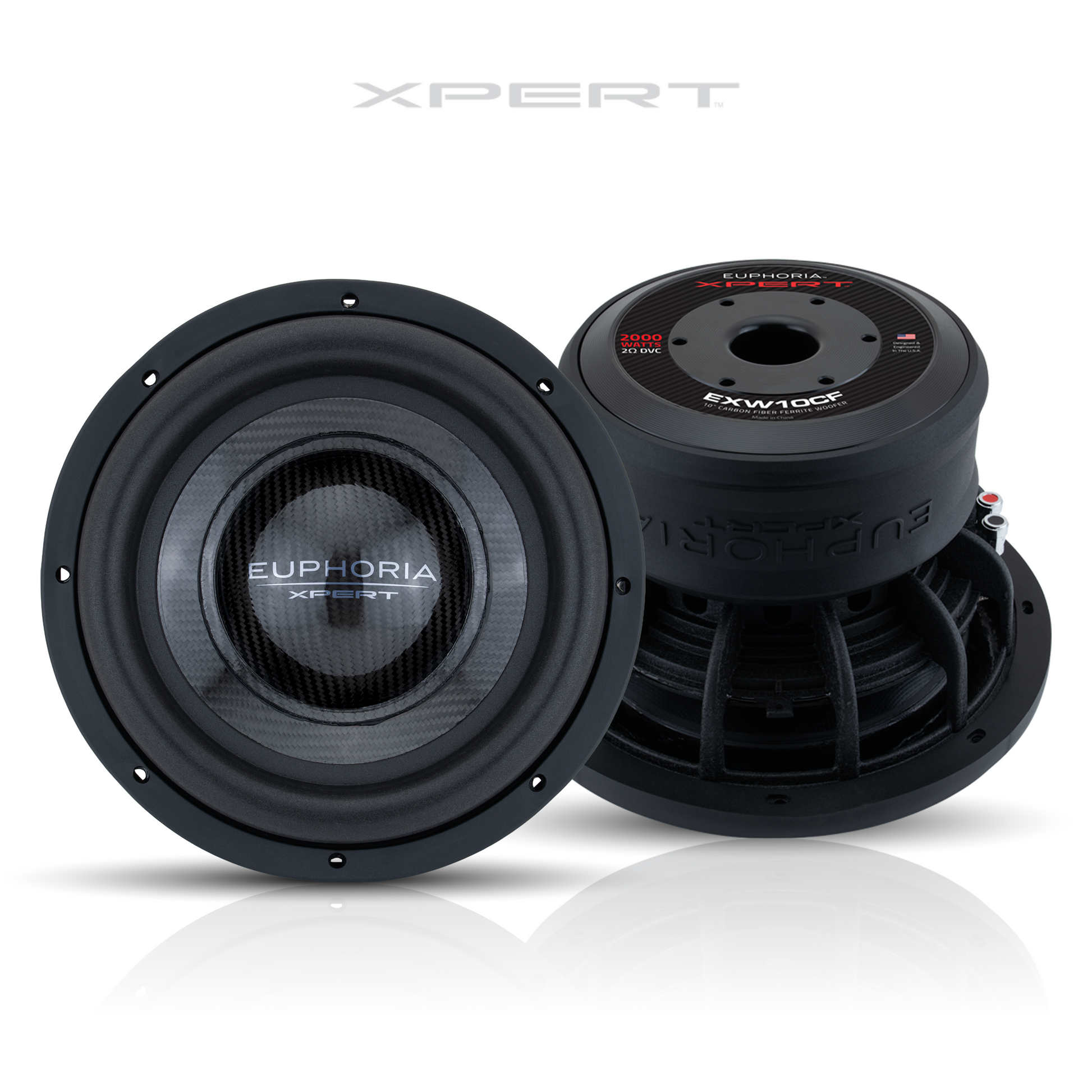 EXW10CF : 10 in. Dual 2-Ohm Carbon Fiber Subwoofer With Ferrite