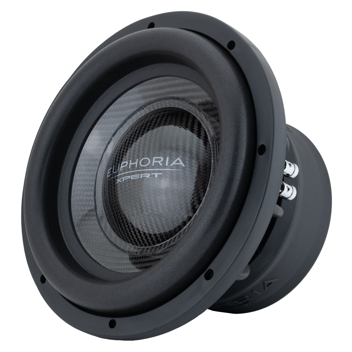EXW10CF : 10 in. Dual 2-Ohm Carbon Fiber Subwoofer With Ferrite