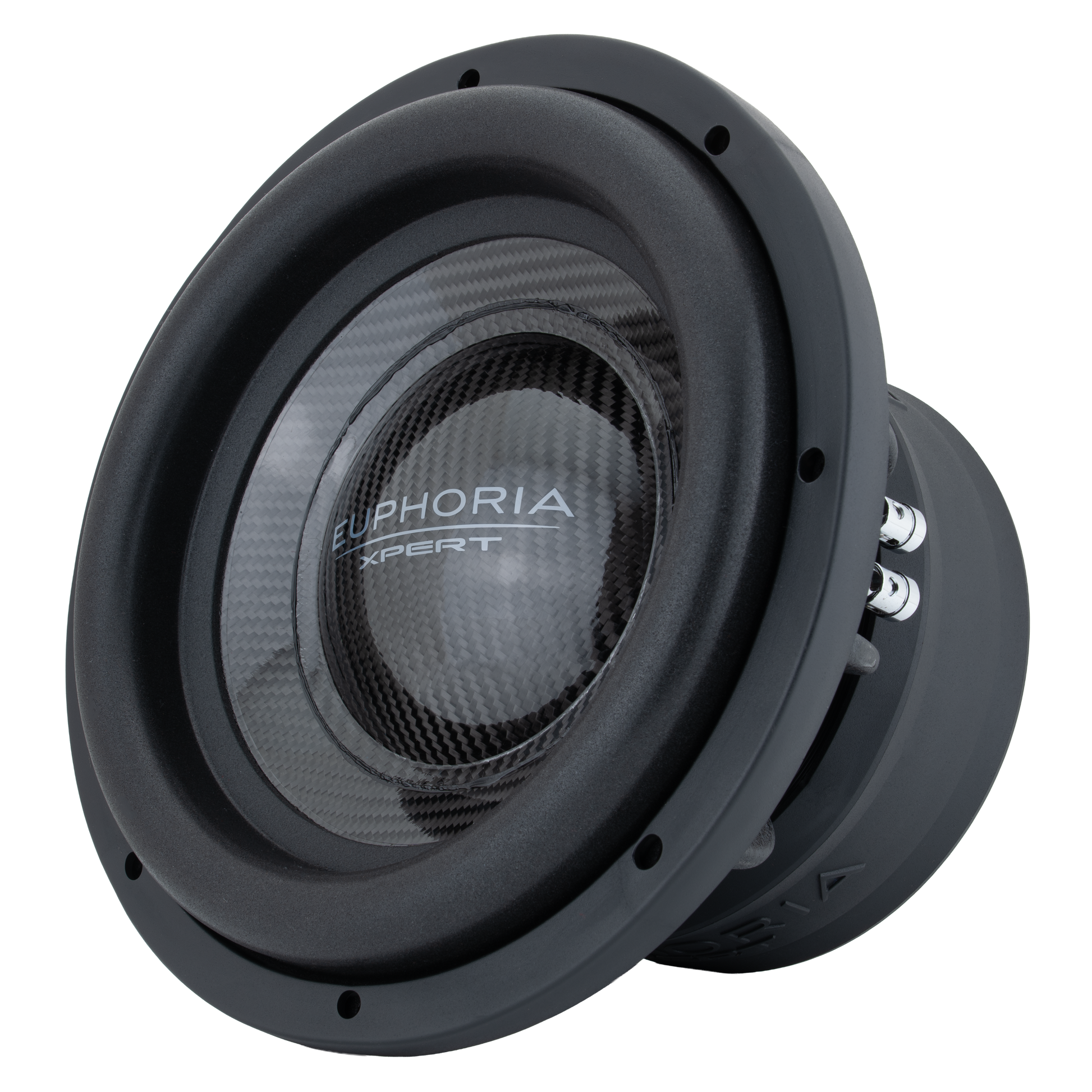 EXW10CF : 10 in. Dual 2-Ohm Carbon Fiber Subwoofer With Ferrite