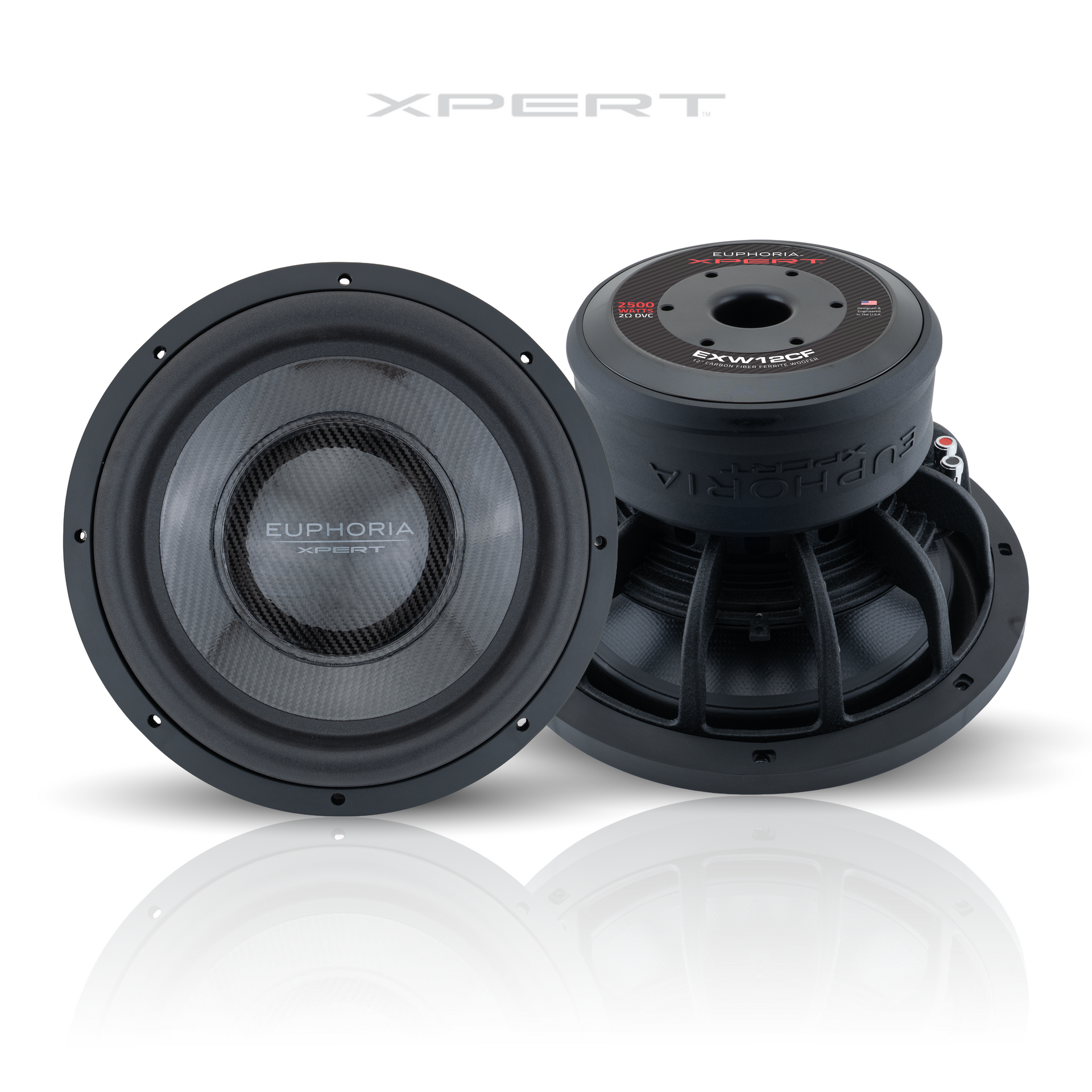EXW12CF : 12 in. Dual 2-Ohm Carbon Fiber Subwoofer With Ferrite EXW12CF : 12 in. Dual 2-Ohm Carbon Fiber Subwoofer With Ferrite