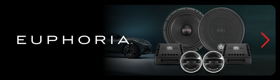 Euphoria catalog