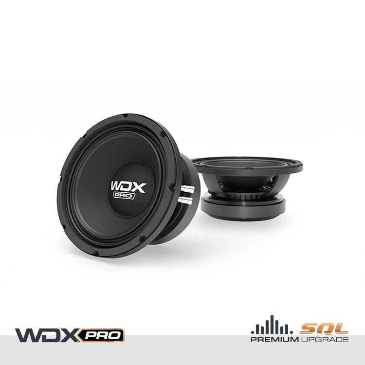 WDX10-MB10-8 : 10 in. Pro Audio Midbass