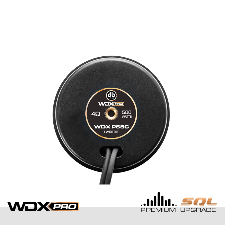 WDX P65C : WDX PRO 6.5