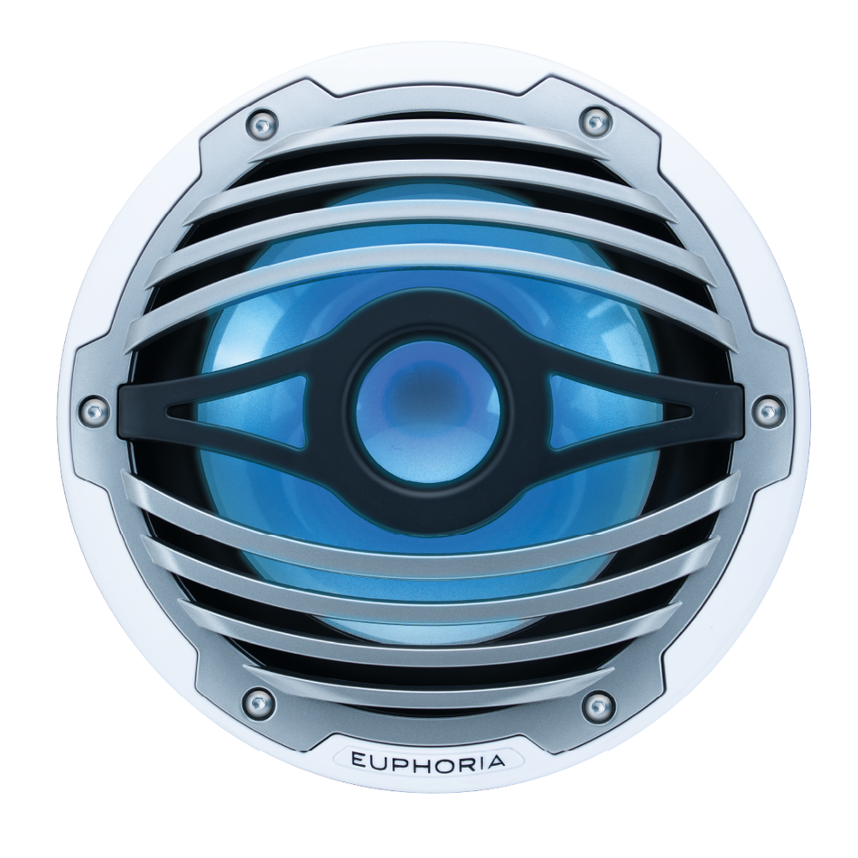 ERMW10.2 : 10” Reference Marine Subwoofer with RGB accent lighting (2-OHM)