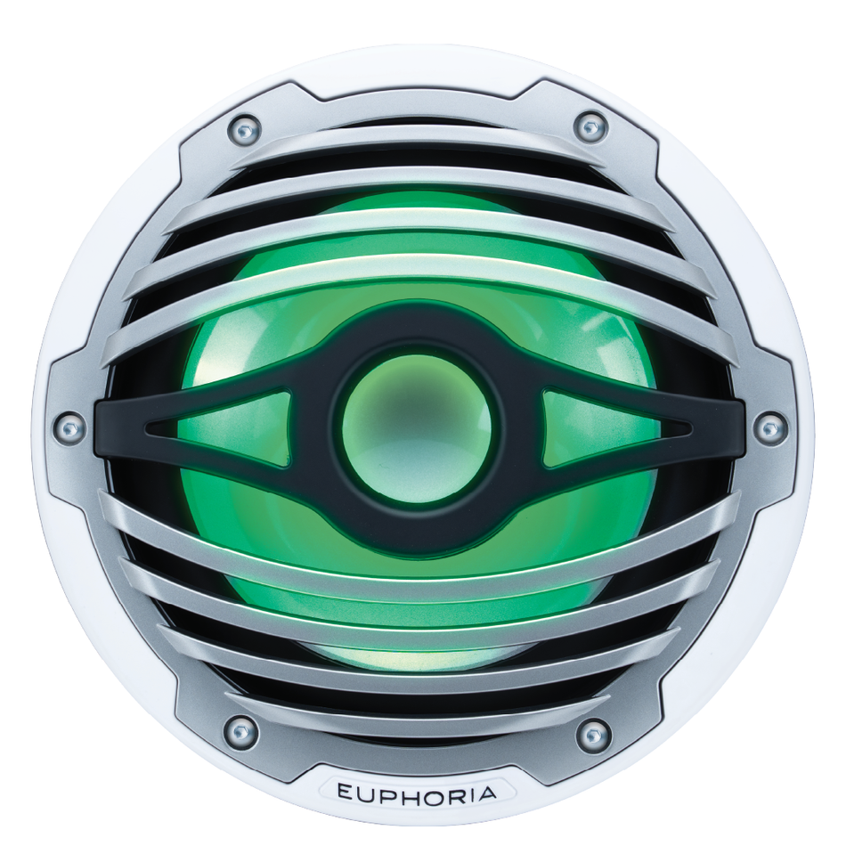 ERMW10.2 : 10” Reference Marine Subwoofer with RGB accent lighting (2-OHM)