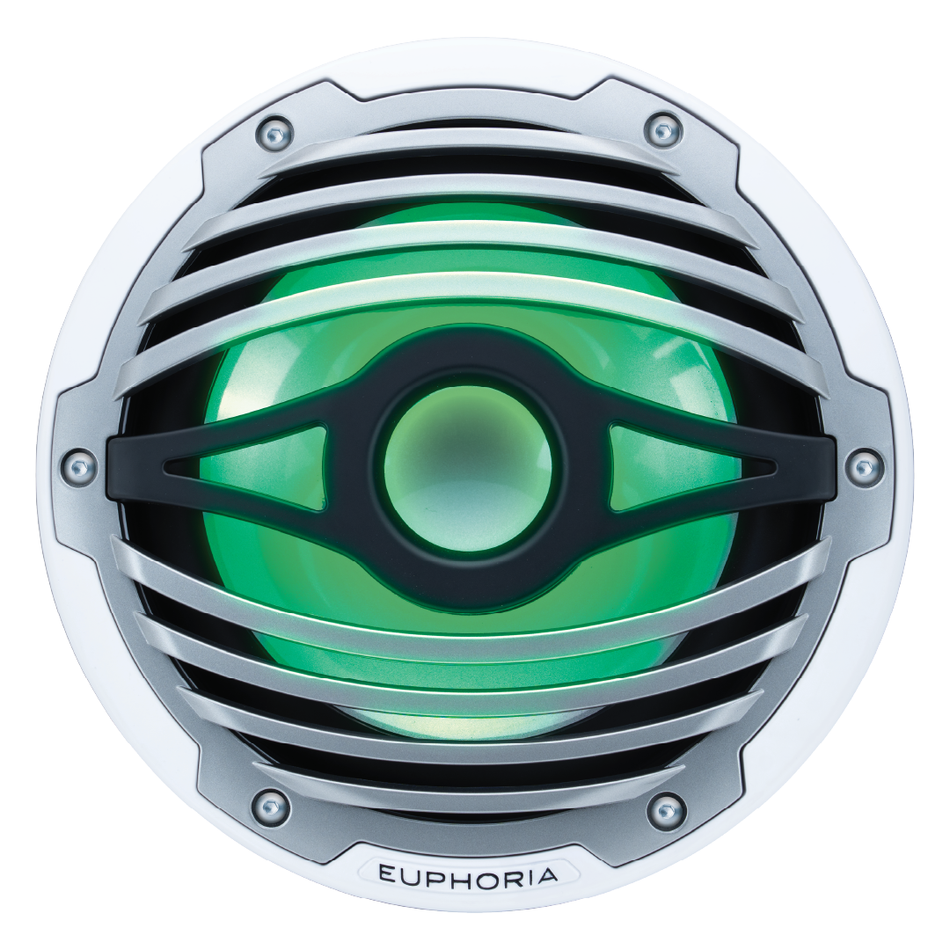 ERMW10 : 10” Reference Marine Subwoofer with RGB accent lighting